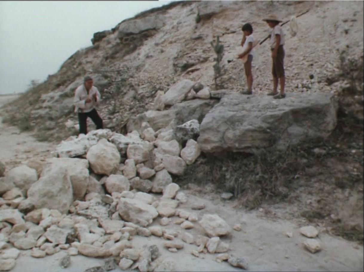 Каникулы Петрова и Васечкина, обыкновенные и невероятные