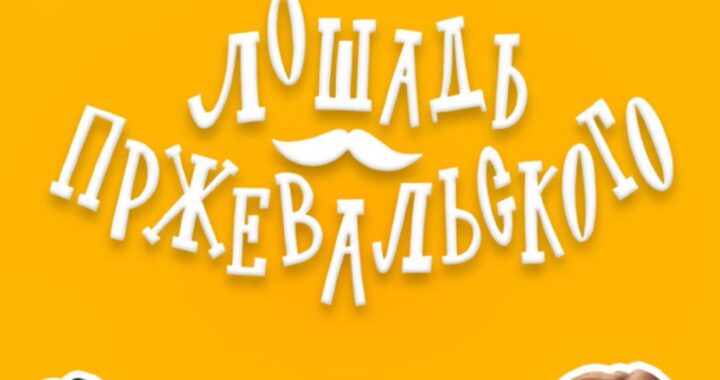 Лошадь Пржевальского