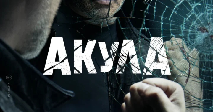 Акула Акула