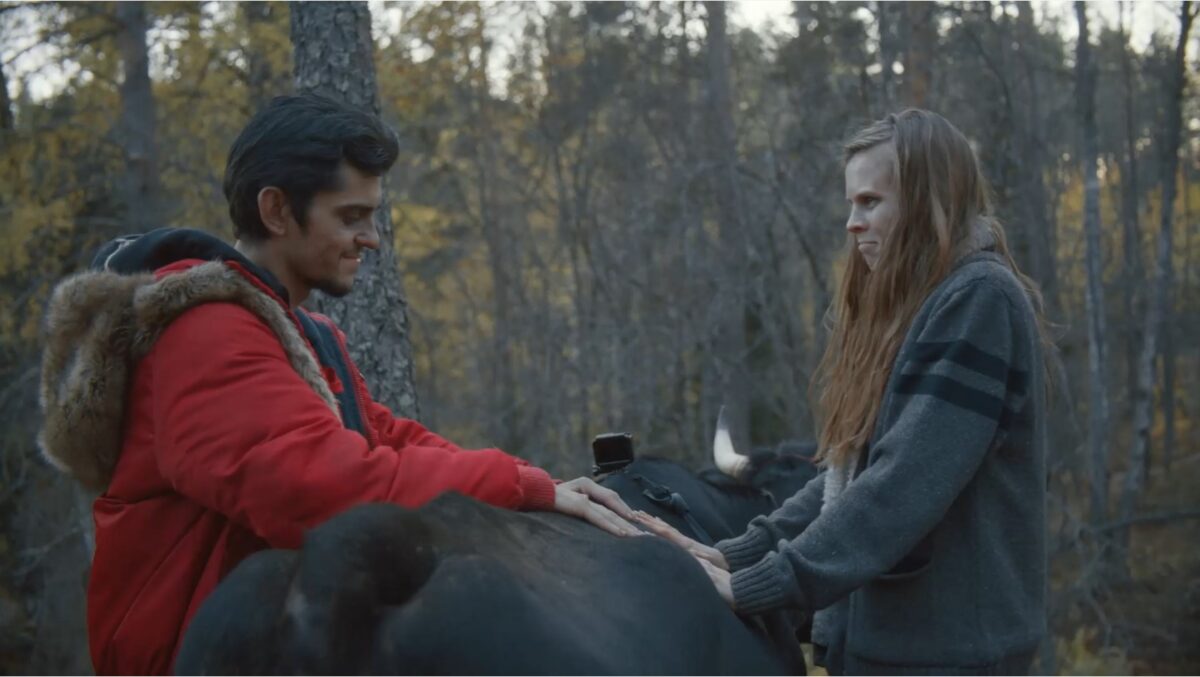 Выжившие: БЛОГГГЕР